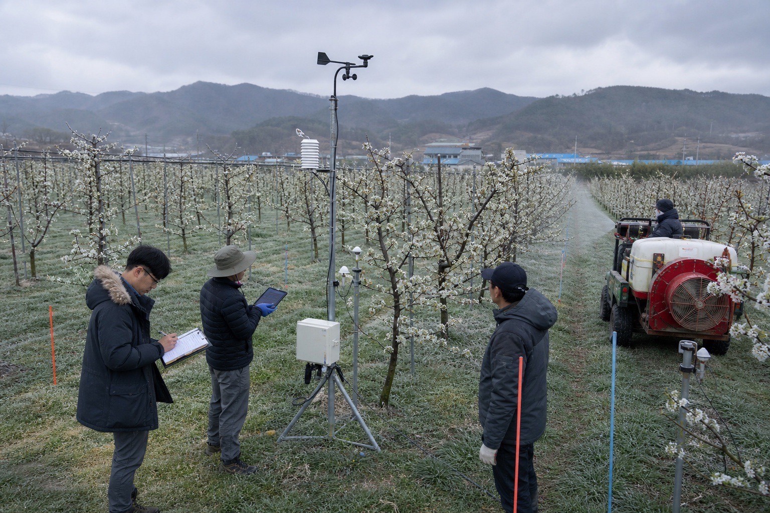 Research team running an orchard field trial with sensors and separated test plots