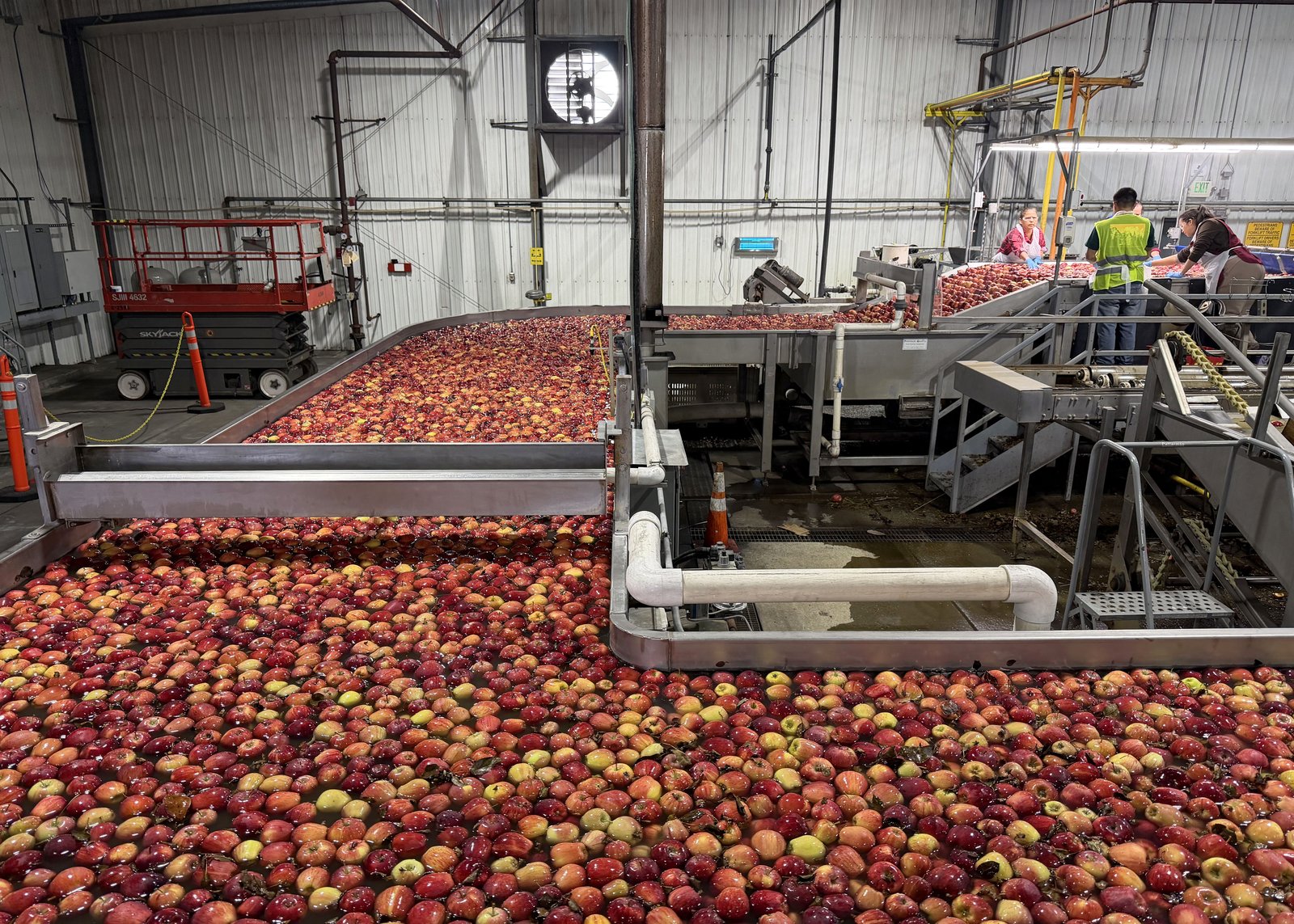 Generic apple-packing facility in the United States, not the Yeongyang smart APC